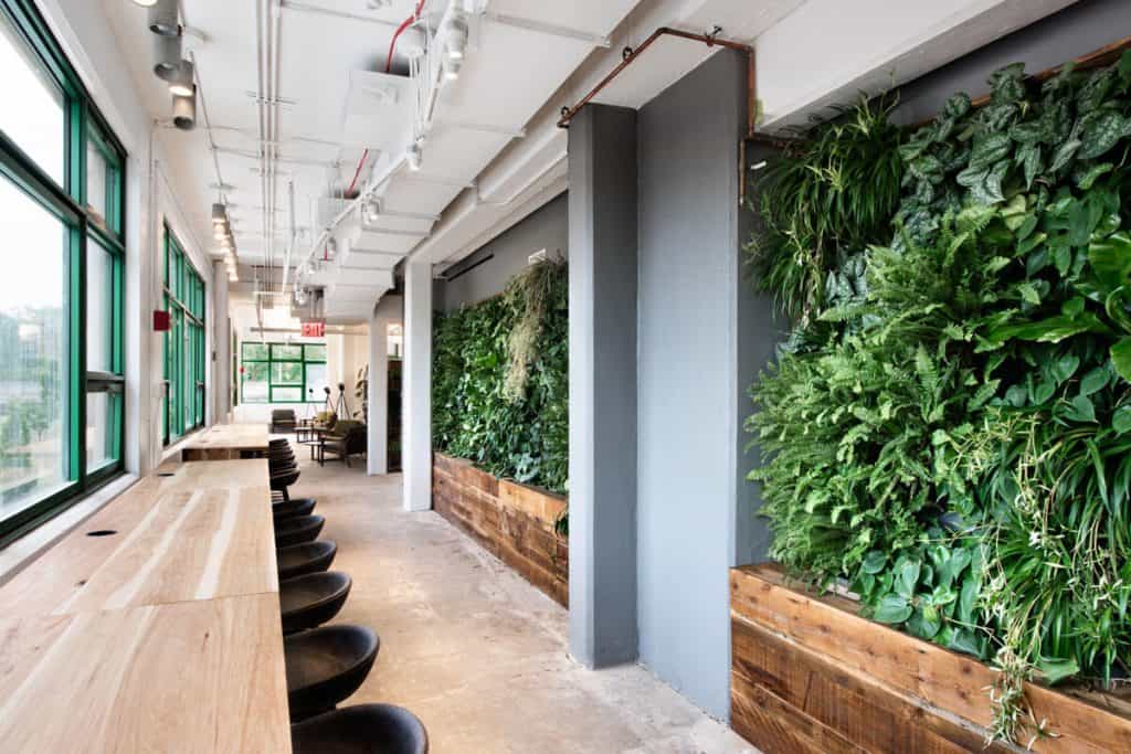 A “green wall” in an office space